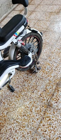 ٤ نمر • سرعة ٥٠ • حي انتصار