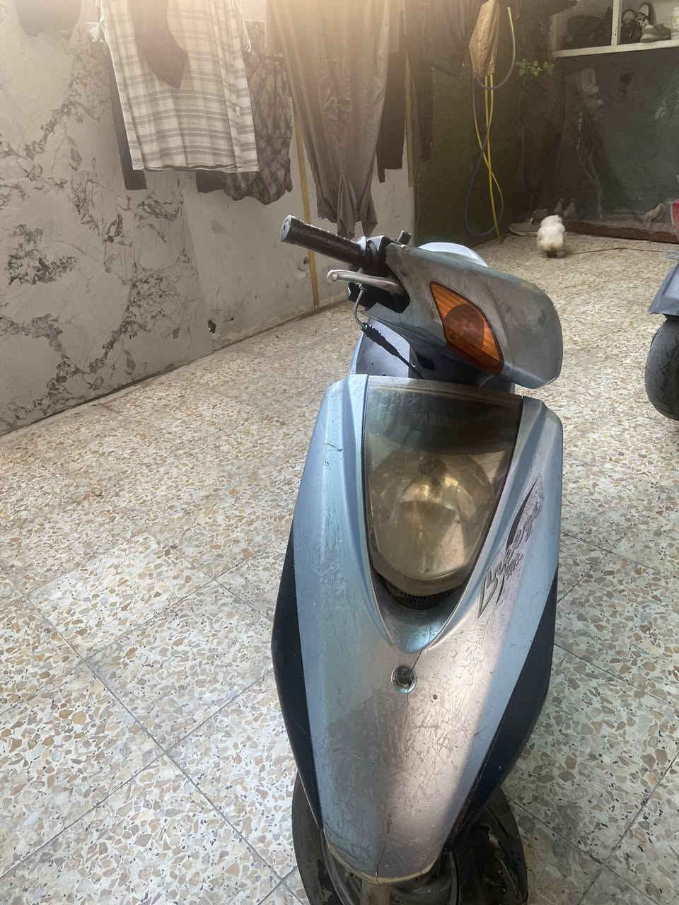 دراجة بريز للبيع السعر ١٧٥ نهايته كوم حديد نظيفة مكينه اكفلك المكينه 
*********** شارع فلسطين
