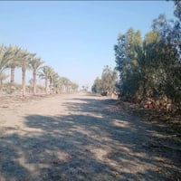 المدائن 9 نيسان • ١٤٠دونم • طابو ملك صرف