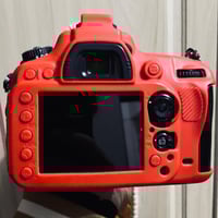 كاميرا نيكون D610 • عدسة سيغما 70-200 • فتحة 2.8