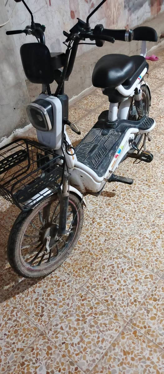 سلام عليكم ماطور للبيع أربعة نمر السرعة الحقيقي 50 لايت عالي ناصي هورن اشاير يمين يسار مدخل شاحنه 5 بطاريات امبدل بطاريات اصليه صارلو شهرين من مبدلات ماطور نصيف ما يعوزو شي السعر 150 وبي مجال مكاني حي انتصار شارع 30


**إذا كنت صاحب هذا الإعلان وتريد حذفه لأي سبب، رجاءا أرسل رسالة إلى الدعم الفني**