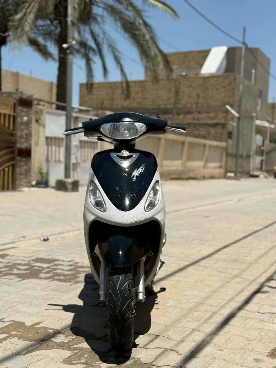 سلام عليكم ماكس منغولي للبيع مكفوله من كلشي السعر 875 بي مجال مكاني الديوانية حي العسكري للاستفسار
‏‪***********‬‏
