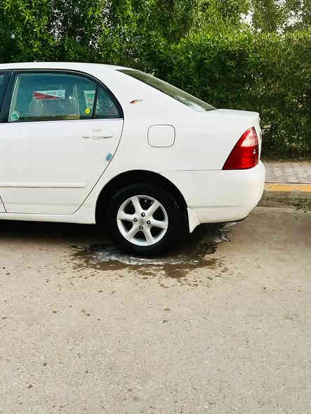 (سلام عليكم)    كورله  موديل  2006  رقم    بغداد  مشروع  وطني   سنويه  لغايه  2028   تخم  تاير  جديد ويل كب أصلي   مكينه  كير    حداديه  سياره   مكفوله  من  ضربه  ولخياس صبغ  قطعتين  فقط  سياره    أحلى  من  صور    كهربائيات  تبريد     كلها    شغاله    سياره  جديده  جاهزه   من   كلشي    العنوان  واسط نعمانيه  السعر  (90) وبيها مجال (***********)
