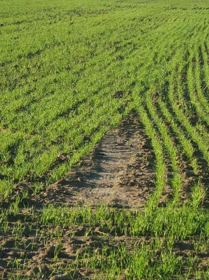 لله الحمد تم وصول المنشط العالمي
المكون من جميع العناصر المكونه من
ماغنوم
عالي البوتاس
هيومك أسد
تم التجربة ولله الحمد النتائج
جيده جدا
للطلب او الاستفسار 
ه‍.***********
العنوان مدخل قضاء الحويجه 
مجاور كهرباء المضهوريه
