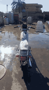 باب أول • أوراق وكيل • بابل شارع 80