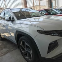 توسان خليجي • ٢٠٢٣ • ١٣٠٠٠ كم