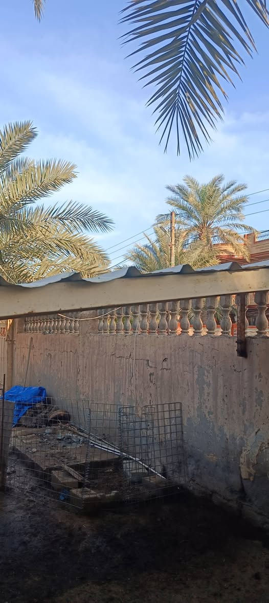 اعادة نشر سقيفه بسعر مئة الف  فقط

2 في 4
لاستفسار والاتصال 
***********
