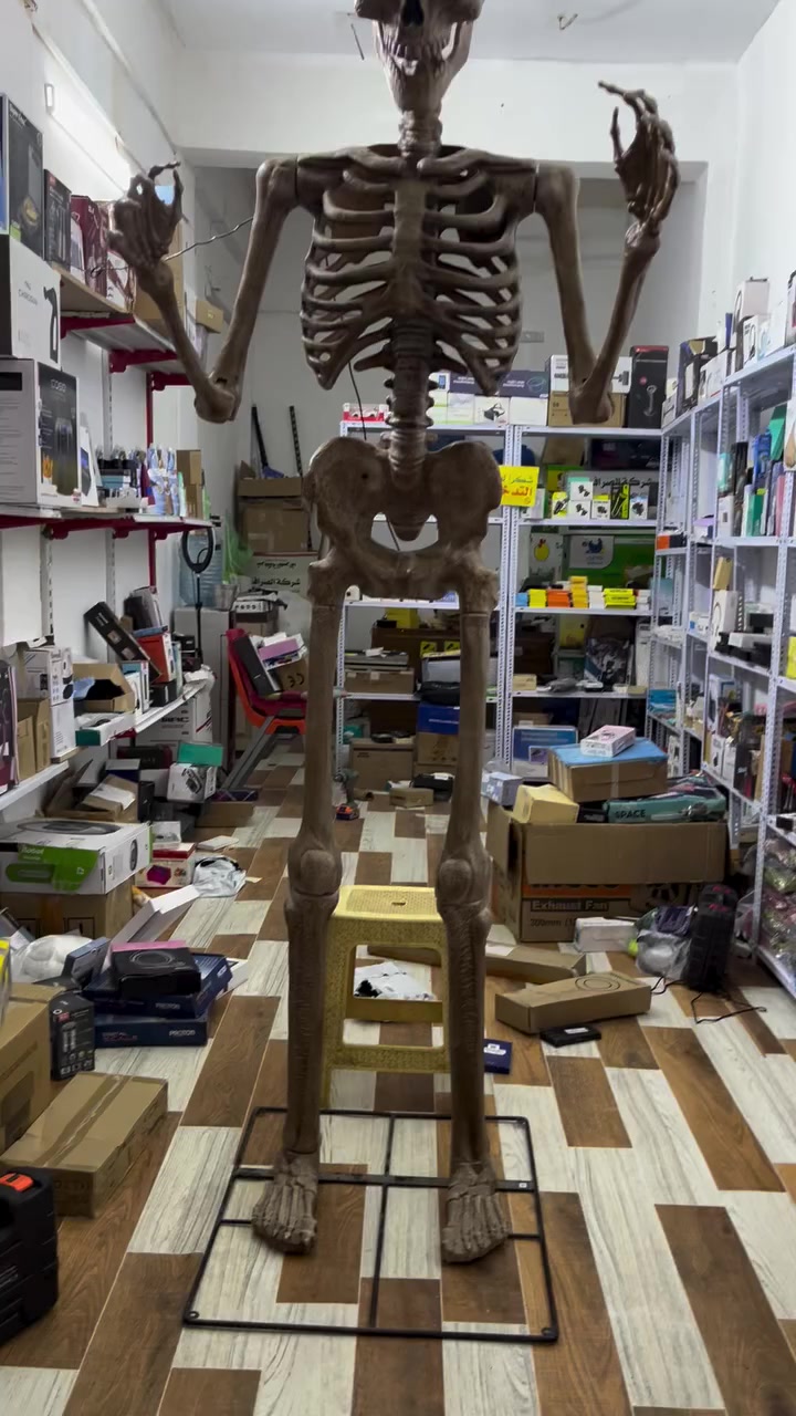 هيكل عملاق الطول مترين ونص  يجيك بكارتونه خاصه بي للاستفسار خاص


**إذا كنت صاحب هذا الإعلان وتريد حذفه لأي سبب، رجاءا أرسل رسالة إلى الدعم الفني**