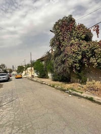 الزهور الاولى شارع 6 • ٢٤٠م • سند طابو ملك صرف