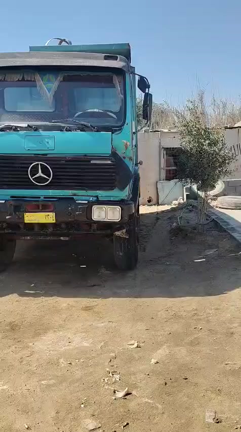 ***********,,***********
