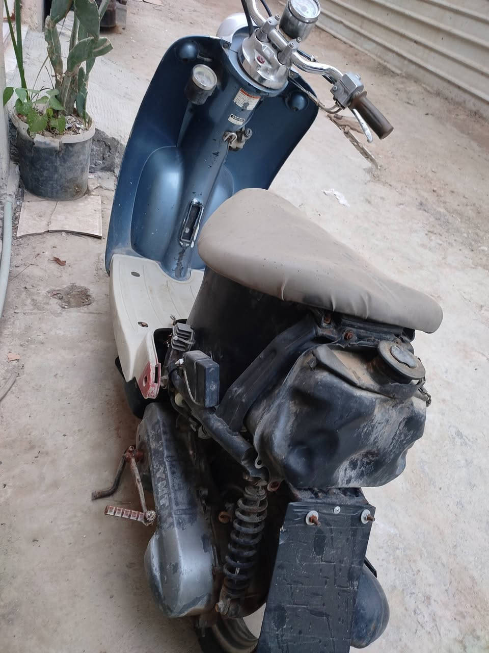 دراجة عبد الحليم عطلانه 100وبيهه مجال شراي راسلني


**إذا كنت صاحب هذا الإعلان وتريد حذفه لأي سبب، رجاءا أرسل رسالة إلى الدعم الفني**