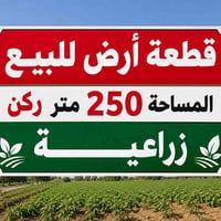 قطعة أرض للبيع زراعية المساحة 250 متر ركن العنوان الزبير حي النرجس بصف...