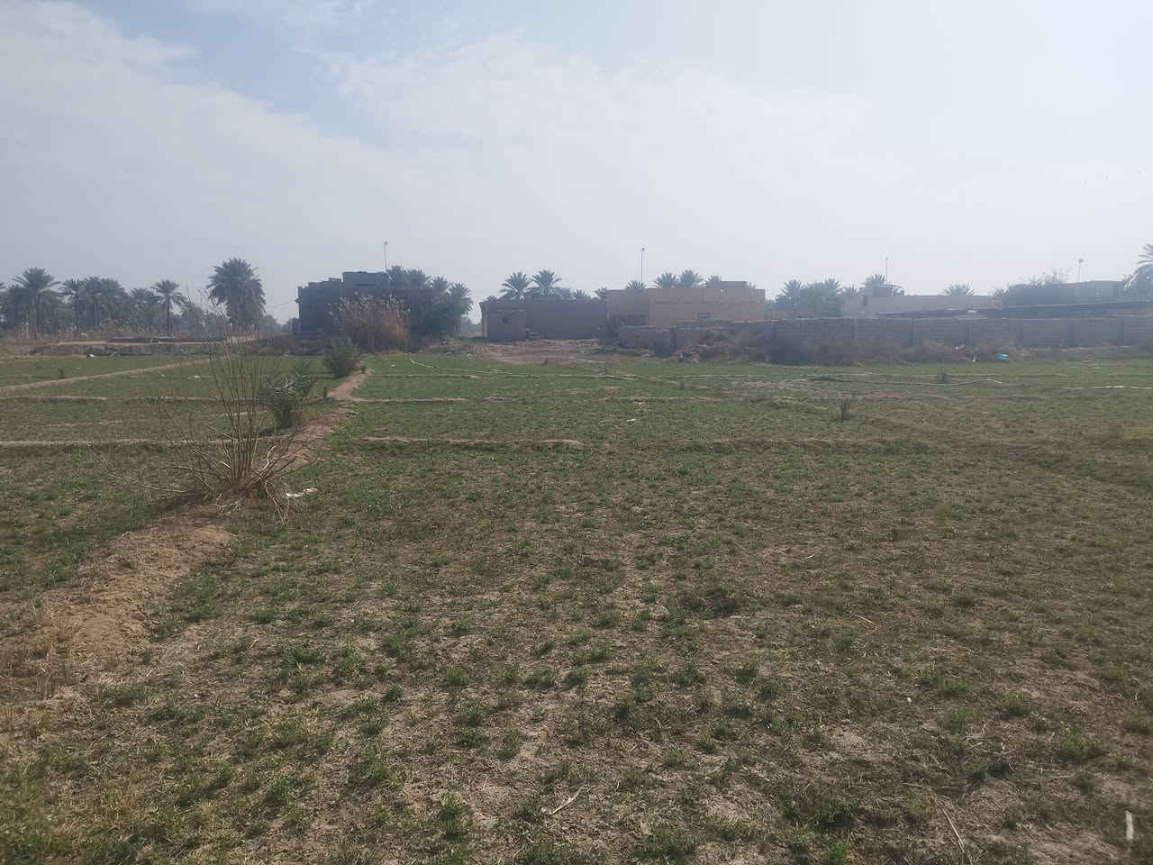 اعلان
يتوفر حاليا ٦دونم للبيع طابو زراعي سند 25 تحويل أسهم مع خمسة بيوت جاهزه في منطقة الزبيلية الواقعة على طريق كربلاء اطوريج تبعد عن الشارع العام حوالي كيلو متر مع توفر كافة الخدمات 
الاستفسار اكثر الاتصال على الرقم التالي ***********
