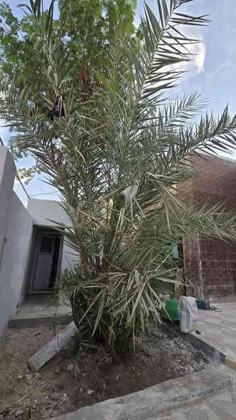 ⚜️دار 200 متر طابو سند 25
⚜️السعر  55 مليون 
⚜️البناء : تجعيب.. طابوك..  بلوك عكاده
⚜️غرفتين ،صاله ،استقبال ،،مطبخ ،،صحيات،  طارمه حديقه
⚜️عنوان الدار 
النجف الكوفه ناحية البراكيه  شارع المطار القديم مقابل مجمع الكوثر الطبي ***********
