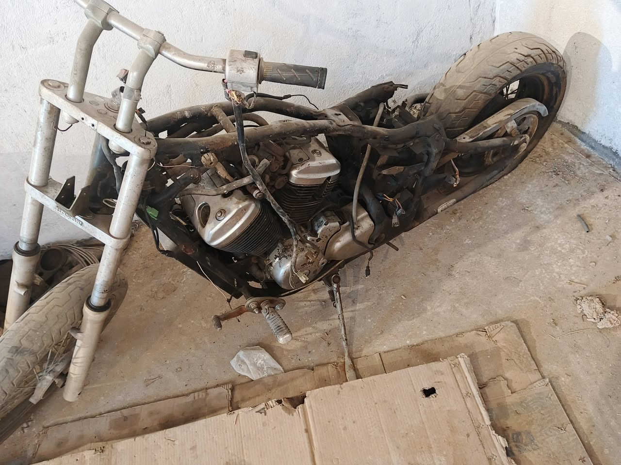 ستد ببر تفصيخ راسلني وتدلل توصيل موجود ***********
