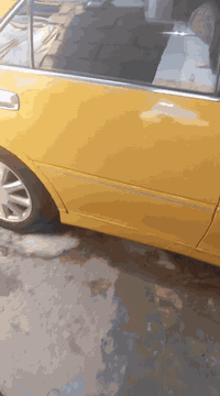 ملكة • ٢٠٠٣ • مفحوصة گمرگ