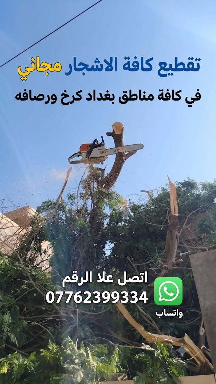 تقطيع كافة الاشجار مجاني في كافة مناطق بغداد كرخ ورصافه اتصل علا الرقم *********** واتساب
