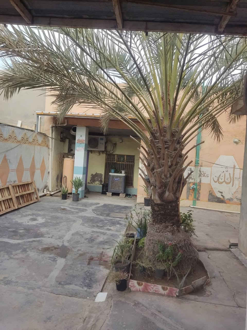 السلام عليكم ورحمه الله وبركاته

بيـــــت للبيـــــع  💵السعر 85 مليون 💵. 

وبي مجال          

في الخالدية - خلف مستشفى الرشيد  الاهلي - قرب جامع البشير (شيخ عابد) 

ملك .... طابو صرف 

مساحه 298.42 متر 

- غرف عدد ٢ طابق ارضي ١ طابق ثاني    مساحه ٥×٤ كل واحده 

- محل فيه باب على الخارج او غرفه خارجيه ٥×٤

- صحيات وحمامات خارجية عدد ٣ 

- الديوانية ٦×٤

- مطبخ ٣×٣

- الهول ٤×٥

- صاله ٣×٣                       للتواصل على الرقم  

***********

#بيت    #للبيع  #الخالدية   #الحبانية  #عقار
