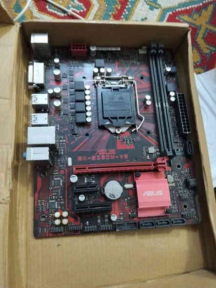 اي ابو مصلحه يجيكلي ذني ويتصل بيه على الرقم حتى نتفق على السعر ***********
