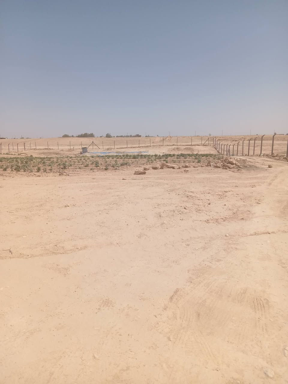 قطعه أرض غير طابو مساحته 6000 م على شارعين للبيع خدمات واصله بيها مزرعه بيها نخل ومشمش وحوض مي وتنقيط مسيجه BRC موقع شيخ حديد السعر 32 مليون وبيها مجال
للاستفسار ***********
