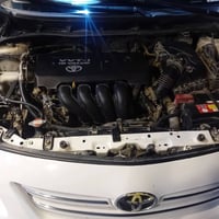 كورلا • ٢٠٠٩ • رقم ديالى