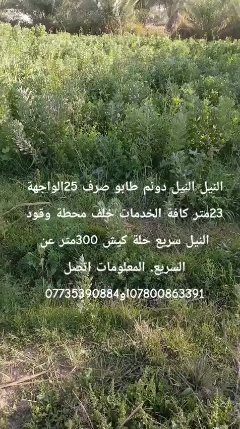 دونم طابو زراعي سند ٢٥ 
 الواجه ٢٣ متر 
يحتوي على نخيل وهيكل كامل بناء طابوق بدون سقف وتتوفر فيه كافة الخدمات ماء كهرباء واجهت الدونم على الشارع مباشر موقع الدونم النيل خلف محطة النيل مقابل ناحية النيل مباشر تبعد عن السريع ٣٠٠ متر تقريبا السعر وباقي التفاصيل ***********
***********
