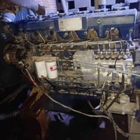 للبيع شتاير ٢٤لا تنقيص ولا تبخير راس توالد ٢٢٥السعر ٥٠عله حمل ٠٧٧٠٧٣٤٦...