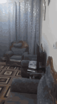 السلام عليكم يوجد بيت لبيع حي فلسطين مساحته 400 الى 20 متر بناء طابوق والسكف صب كونكريت مسلح الارضيه اكرانيت كل البيت مي كهرباء مجاري كاملات مربوطات كما موضح في الصور والفيديوا (مكلف بالنشر)  
السعر اتصال بالرقم الموجود *********** علما الخاص مقفول بس اتصال مباشر
