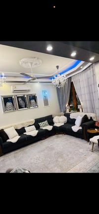 تخم • نظيف • صوفا