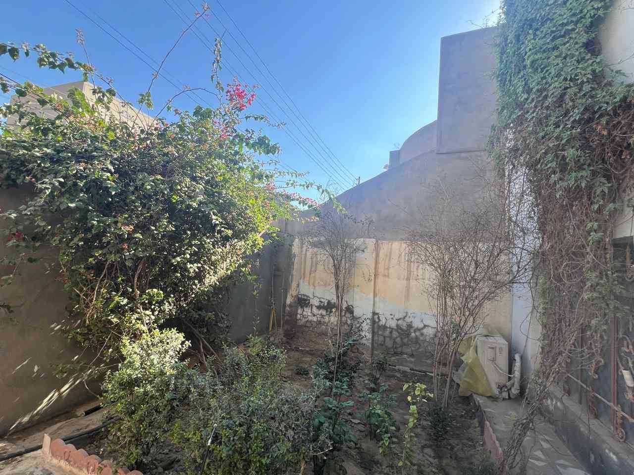 بيت طابقين المساحة 200 م

الطابق الأول غرفتين او صاله او استقبال او مطبخ او حمام او كراج او حديقه 
والطابق الثاني غرفتين او صاله كبيره او بيتونه ثانيه او سطح كامل

جمعية الإسكان بالجهة المقابيل جامع أهل البيت
السعر 150 مطلوب 45 مبادره 

***********
