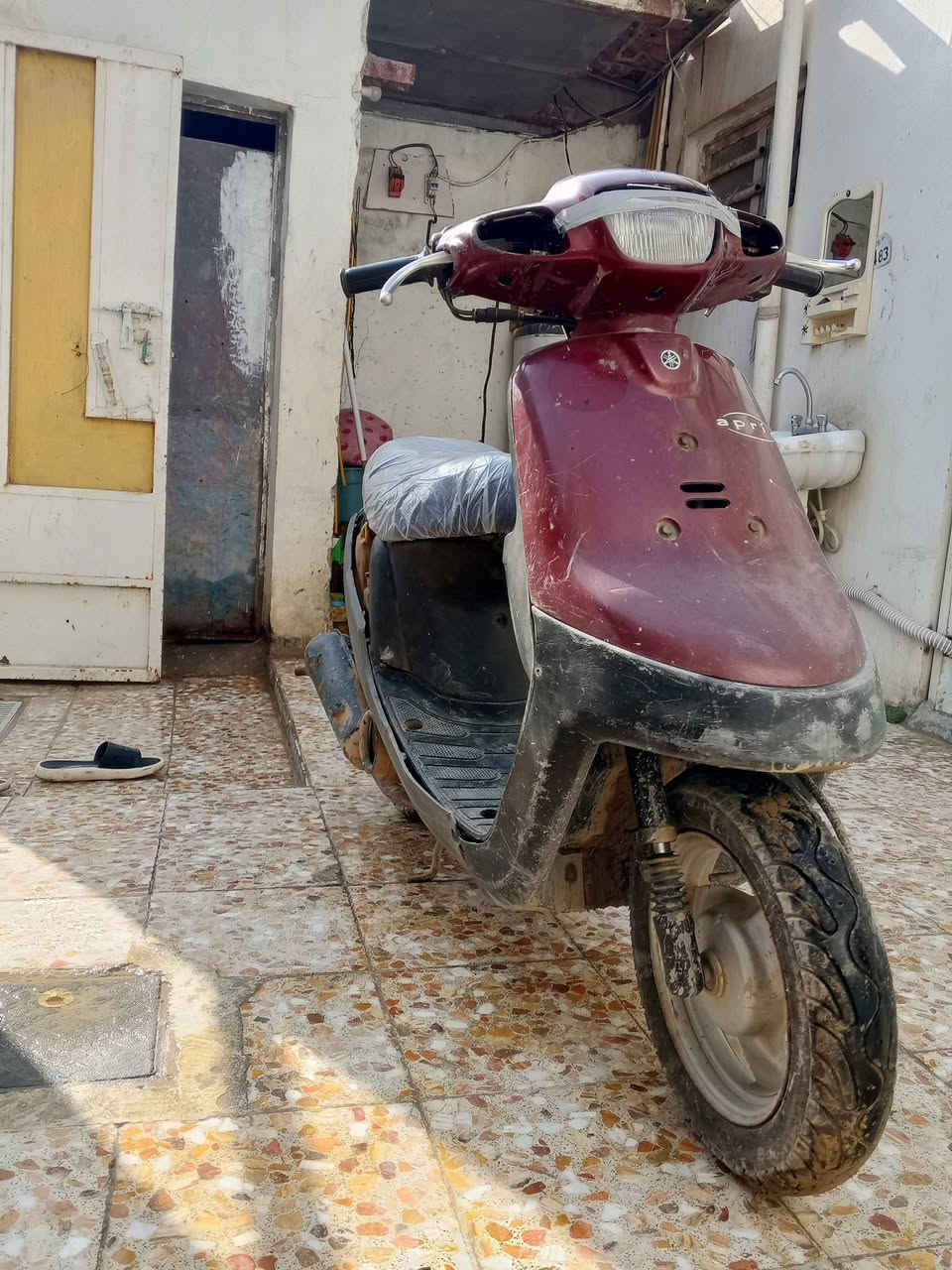 سلام عليكم شباب من رخصت صاحب الكروب دراجه بطه خطين الدراجه نضيفه شوفت عينك الدراجه شغاله بس عوزهه كفرات ولي تعجبه بي خير ويدلل مكان الدراجه بل ديوانيه والسعر 200 وبيهه مجال لطيبين وهاذه الرقم بي واتساب ***********
