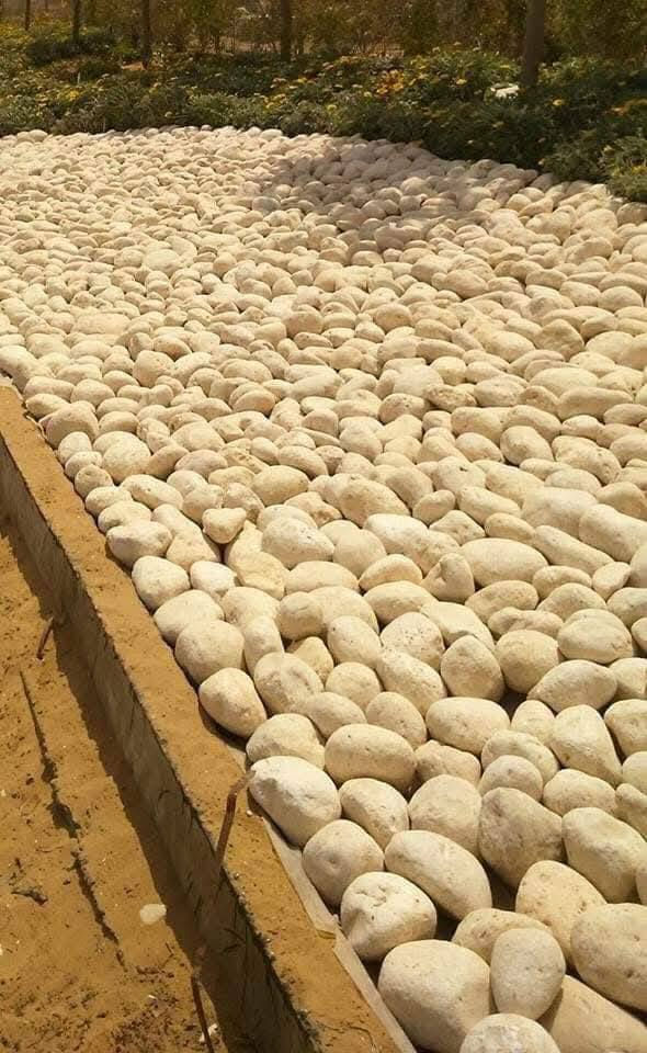 ٠٧٧٧٤٥٩٩٩١


**إذا كنت صاحب هذا الإعلان وتريد حذفه لأي سبب، رجاءا أرسل رسالة إلى الدعم الفني**