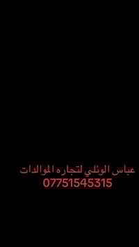 #بغداد #العراق #بيركنز_العراق ⚡️  المولدات الكهربائية ⚡️هل تبحث عن مول...