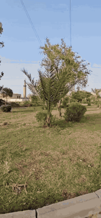 السيدية الخيزران • ١٤٠م • عقار مميز