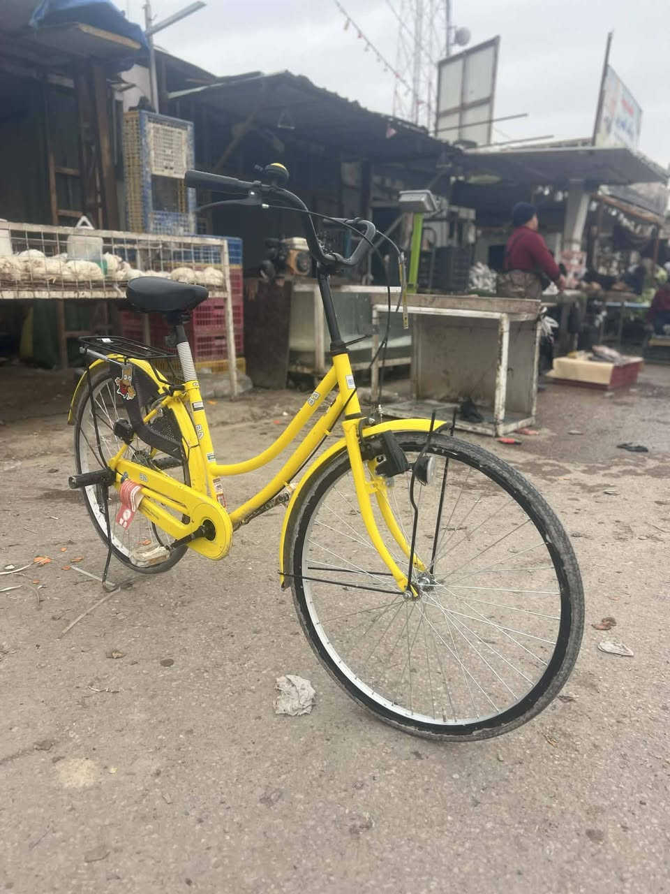 السلام عليكم بايسكل للبيع موديل 22 سوبر باسكن نازل كرار ابو النقش نازل من عنده بايسكلفتجي وتشوفه السعر خاص عنواني النجف قريب عن قريه الغدير رقمي هذا*********** مراوس دراجه بيجي عادي وبايسكل حسب القناعه
