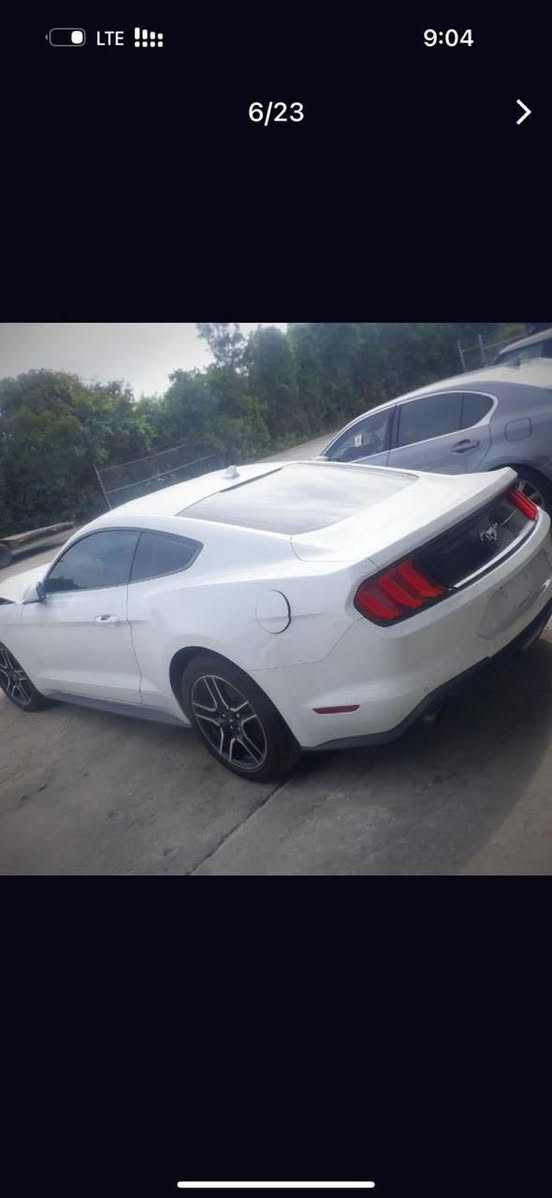 موستنك 2023 ايكو بوست
معروفه مواصفات الايكو حساس كامره رادار شاشه وضعيات قياده وضعيات ستيرن 
السياره اكزوز بلادي من امريكا 
حادثها نص بنيد نفسه معدل ومصبوغ وبداية الجاملغ فقط شبر تقريبا مكفوله من الايربكات والشواصي وموضحه صور الحادث 
السعر 177$ وبيها مجال 
مكانها الانبار الفلوجه 
***********
