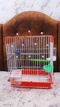 قفصين • ملحقات كاملة • حالة جديدة