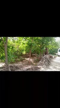 دونم لبيع في البعيثة   يبعد عن السدة 300متر     مخدوم كامل ماء كهرباء ...