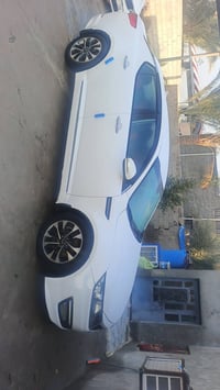 اوبتيما ٢٠١١ • كفالة دولي • صبغ فقط