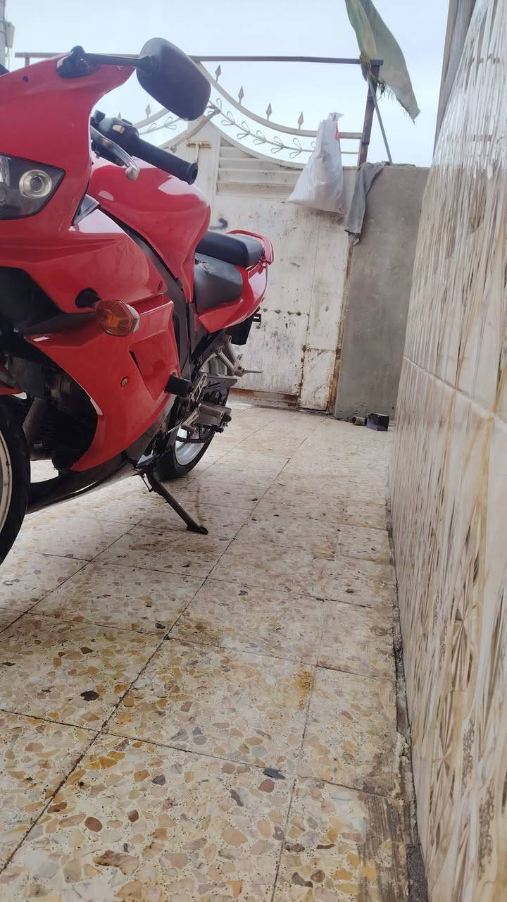 سلام عليكم دراجتين البيع الزركه انكليزي 3 سلندر حجم المكينه فوك 650 دراجه مميزه أوله بل عراق دراجه كفاله عمامه بس يردلها حساس مالف أوراق مدفوع كمركها مكنها بصره السعر 30 الحمره زاروكي 2 بستم مكينه v 650 درجه جديده وشقله كفاله عامه ما فتوح بيهن برقي أوراق ومدفوع كمركها السعر 30 توصل وتساب *********** يوالد المو شاري الا يتعبنه فدوه ومن تريد تجي جيب فيتر وياك افحص وشقل وتوكل عله الله هادي العيساوي
