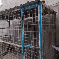 قفص تربية • ٣م×١م×٢.٢٥م • الزبير