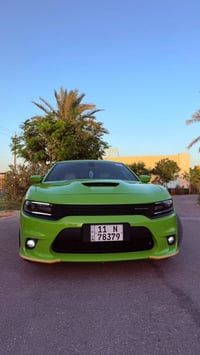 جارجر • ٢٠١٩ • كفالة وكالة