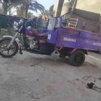 ستوته • ٢٠١٩ • أوراق اصولي