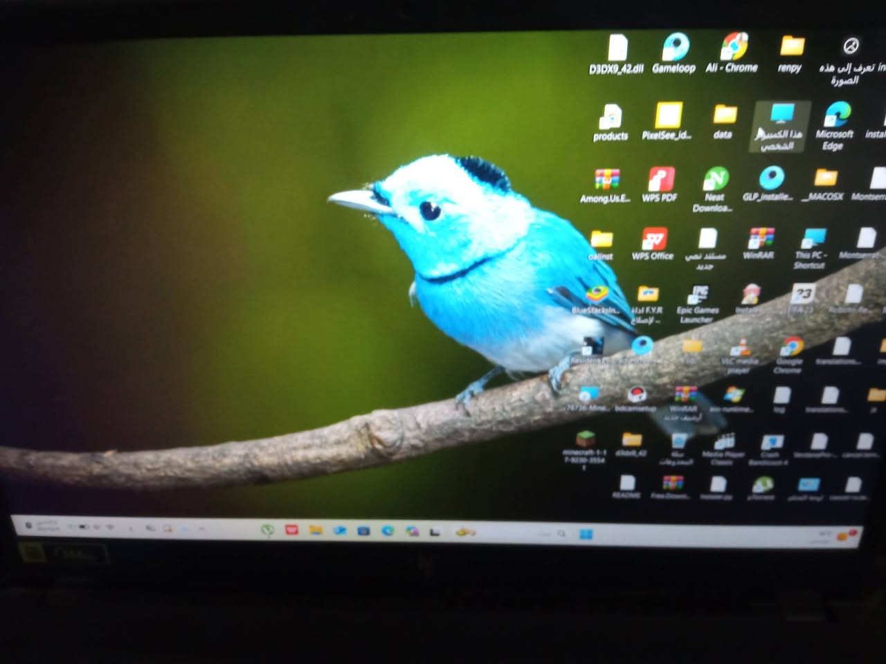 مكاني حي اور سعر مليون


**إذا كنت صاحب هذا الإعلان وتريد حذفه لأي سبب، رجاءا أرسل رسالة إلى الدعم الفني**