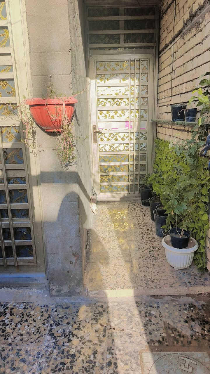 اسلام عليكم دار للبيع زراعي المساحه 100 /20/5 الكماليه المعوقين يم المدارس خدمات كامله  البيت نقص بياض وكاشه الصاله ولستقبال الغرفه كامله بيت شغله درجه اوله ع ايدي الستفسار التصال ***********
