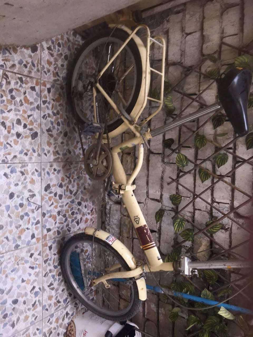 طبكه للبيع حجم ٢٠ السعر ٧٠


**إذا كنت صاحب هذا الإعلان وتريد حذفه لأي سبب، رجاءا أرسل رسالة إلى الدعم الفني**