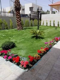 صيانة حديقة • تعشيب • مكافحة حشرات