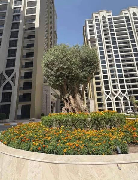 شقة للايجار مجمع أبراج النخلة السكني
الشقة جاهزه للسكن تتكون من غرف نوم عدد 3 صالة مطبخ مجموعة صحيات 
الي رايد شقة للايجار مجمع أبراج النخلة
 يتواصل واتساب 07833،33،0308 #شركة_بوابة_بغداد_للتسويق_العقاري
