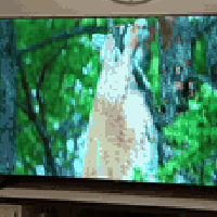 متاح بلازمه نوع LG حجم 70 فول كل التطبيقات بيها أندرويد بدون إطار سلم ...