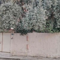 موصل جديدة • ٢٠٠م • ٣ غرف